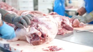 Компания «Атенк» в Армавирской области расширяет производство и экспорт мясной продукции