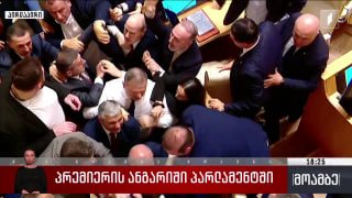 Драка в парламенте Грузии: депутат обвинил премьера в подчинении Иванишвили