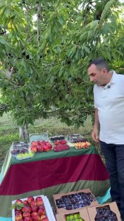 Первая партия армянских фруктов отправлена в ОАЭ из Армавирской области